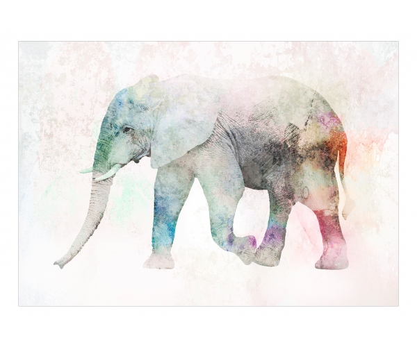 Fototapeta samoprzylepna - Zwierzęta słoń