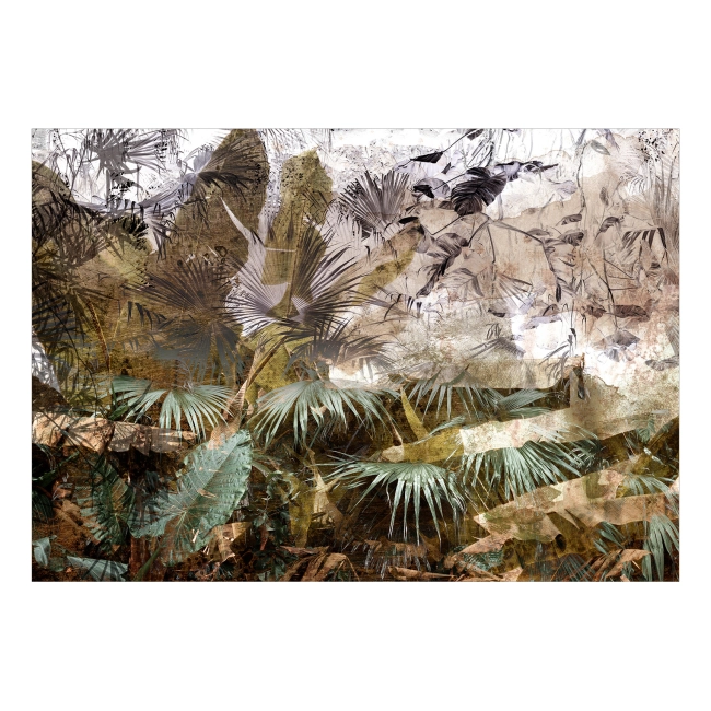 Fototapeta - Liście monstera Dżungla W Deszczowym Lesie