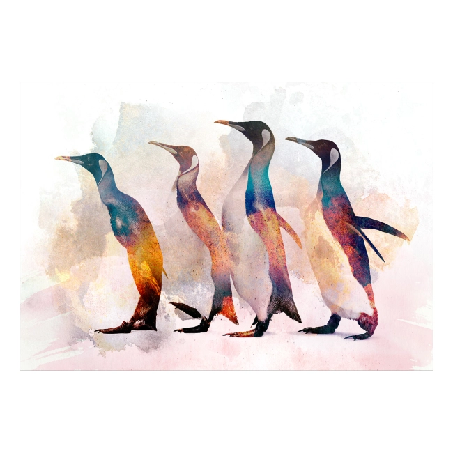 Fototapeta samoprzylepna - Zwierzęta Pingwiny