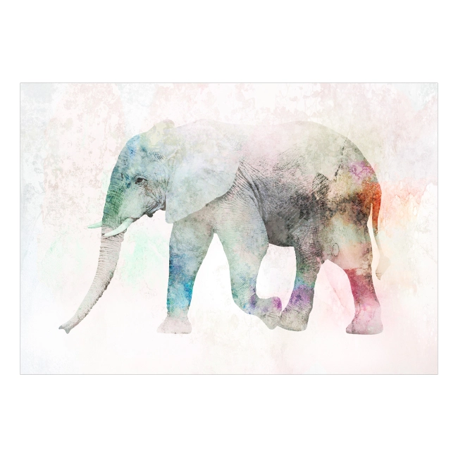 Fototapeta - Zwierzęta Słoń