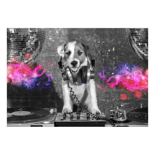 Fototapeta - Młodzieżowa Disco Pies DJ