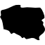 Polska Firma