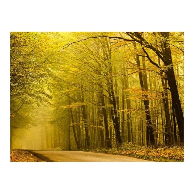 Fototapeta - Droga przez jesienny las