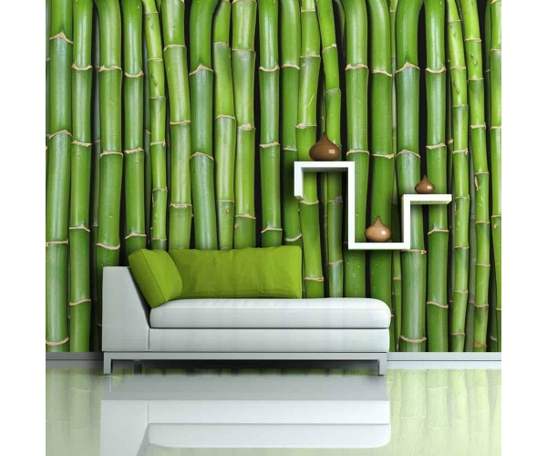 Fototapeta - Bambusowa ściana