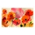 Fototapeta - Kwiaty Aksamitne maki