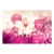 Fototapeta -kwiaty  biały różowy