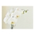 Fototapeta Kwiaty biała orchidea