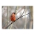 Fototapeta - czerwony ptaszek na gałązce