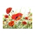 Fototapeta - Country poppies