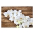 Fototapeta - Biały storczyk na drewnie