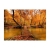 Fototapeta - Drewniany mostek w lesie