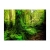 Fototapeta - Zielona dżungla