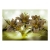 Fototapeta -Kwiaty na oliwkowym tle