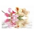 Fototapeta - Kwiaty tropikalne - drzewo storczykowe (bauhinia)