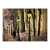 Fototapeta - Lonely walk through Montmartre