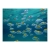 Fototapeta - Pejzaż podwodny - Karaiby