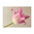 Fototapeta - Pink tulip