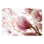 Fototapeta - Różowa magnolia
