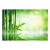 Fototapeta samoprzylepna - gaj zielony bambus woda