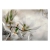 Fototapeta samoprzylepna - Subtelne magnolie - drugi wariant