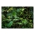 Fototapeta - Słoneczna dżungla liście las tropikal