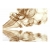 Fototapeta - Smoke curls