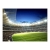 Fototapeta  Stadion murawa  kibice niebieski zielony