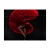 Fototapeta - Tancerka flamenco