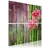 Obraz - Bambus i orchidea OBRAZ NA PŁÓTNIE WŁOSKIM