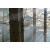 Obraz las drzewa słońce krajobraz Baśniowa puszcza