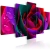 Obraz - Multicoloured rose OBRAZ NA PŁÓTNIE WŁOSKIM