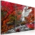 Obraz - Piękny Wodospad: Jesienny las