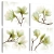 Obraz - Podziw magnolii OBRAZ NA PŁÓTNIE WŁOSKIM