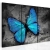 Obraz - Studium motyla - tryptyk OBRAZ NA PŁÓTNIE WŁOSKIM