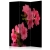 Parawan 3-częściowy - Azalea in Black [Room Dividers]