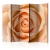 Parawan 5-częściowy - Peach-colored rose II [Room Dividers]