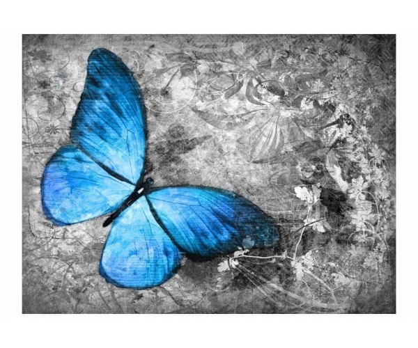 Fototapeta - niebieski motyl
