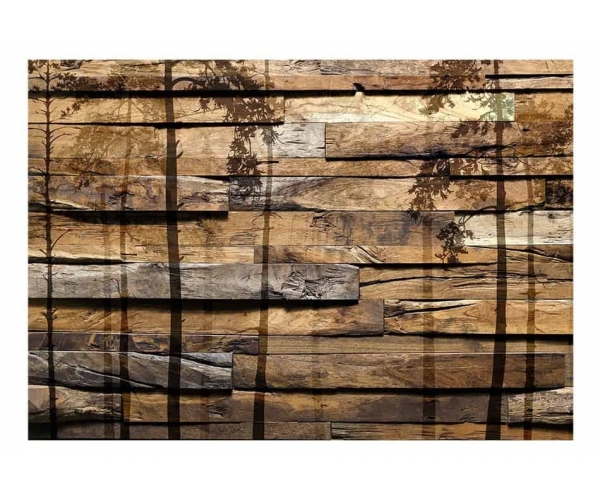 Fototapeta - drewniana ściana i cień drzew