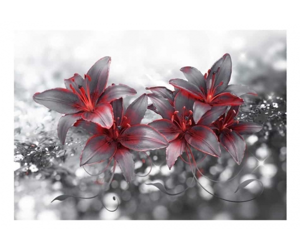 Fototapeta - szary kwiat z nutą czerwieni