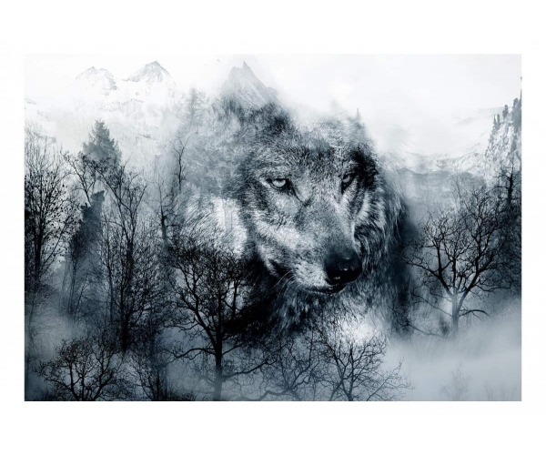 Fototapeta - las wilk nowoczesny las we mgle góry