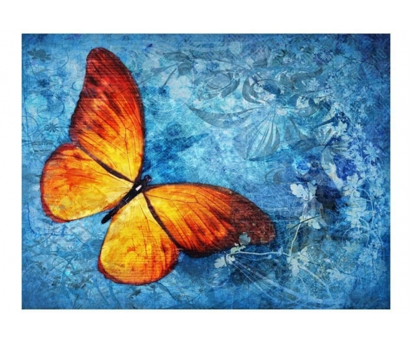 Fototapeta - Fiery butterfly
