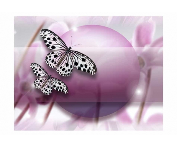 Fototapeta -motyle i kwiatki