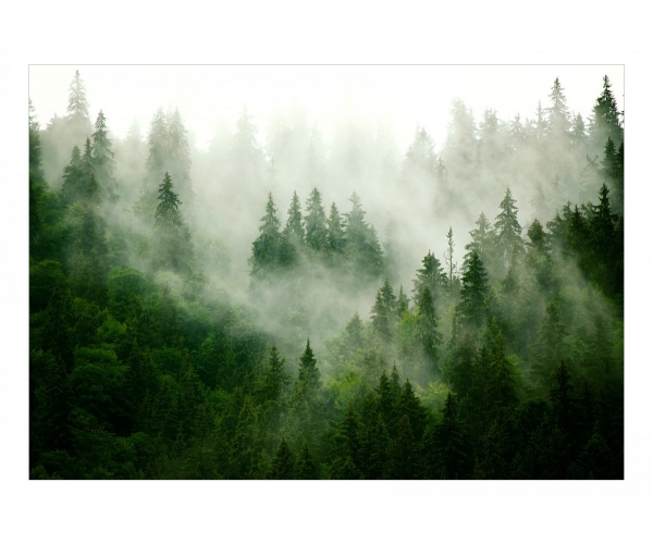 Fototapeta - Górski las (zielony) mgła las krajobraz góry