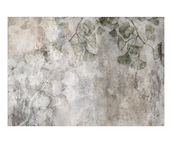 Fototapeta - Jurajski miłorząb liście beton natura