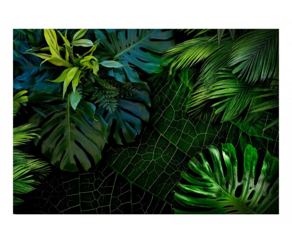 Fototapeta - dżungla liście tropikalne zielone mroczna dżungla