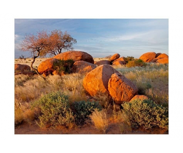 Fototapeta - Pejzaż afrykański, Namibia