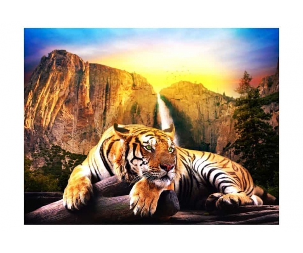Fototapeta - Piękno i bestia Tygrys