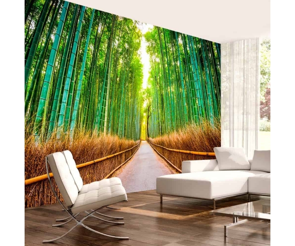 Fototapeta samoprzylepna - las bambusów ścieżka w rolce