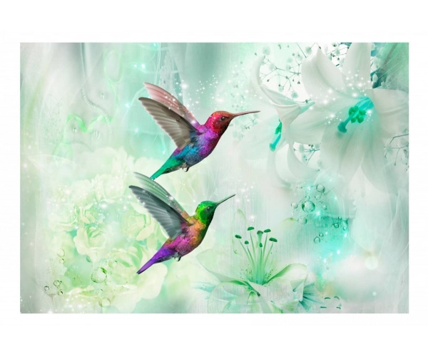 Fototapeta samoprzylepna - Kolorowe kolibry (zielony)