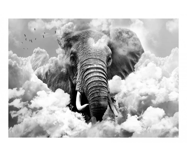 Fototapeta - Słoń w chmurach (czarno-biały)